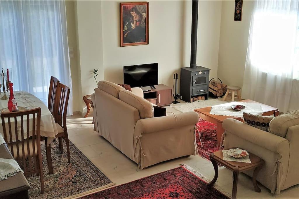 Deppy'S House Κοντά Στα Λουτρά Πόζαρ Διαμέρισμα Chrysi Εξωτερικό φωτογραφία
